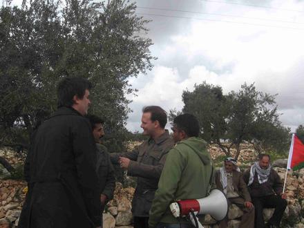 Meeting in the olive groves 