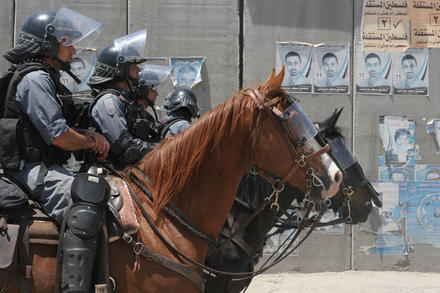 Mounted police wait for orders