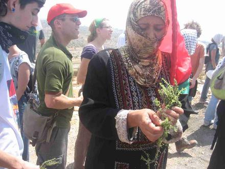 "Take some za'atar, it's healthy"